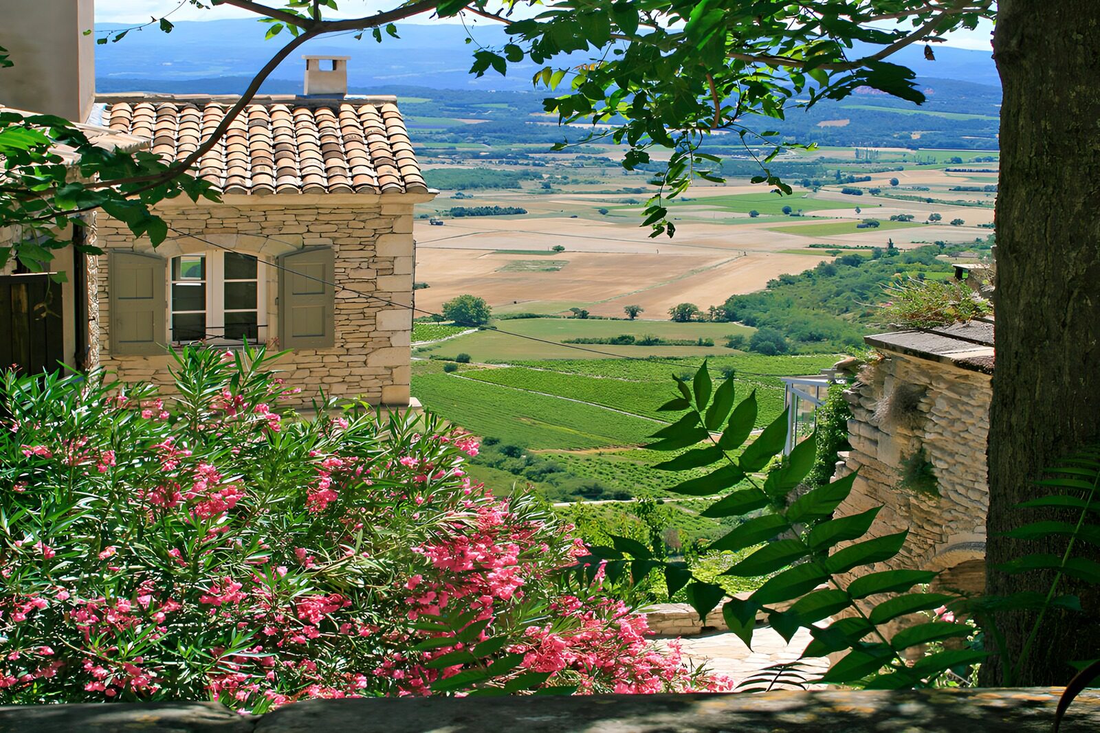 Blick auf die Weinregion