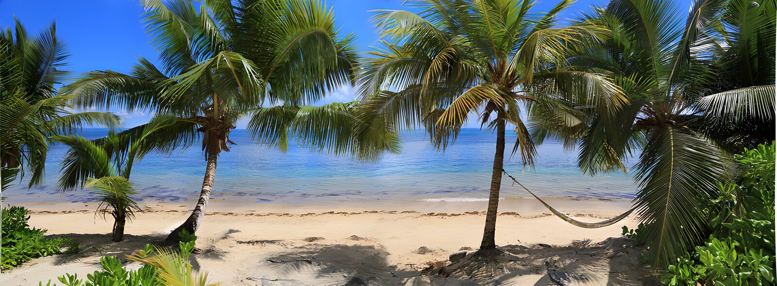 Tropisches Paradies am Meer