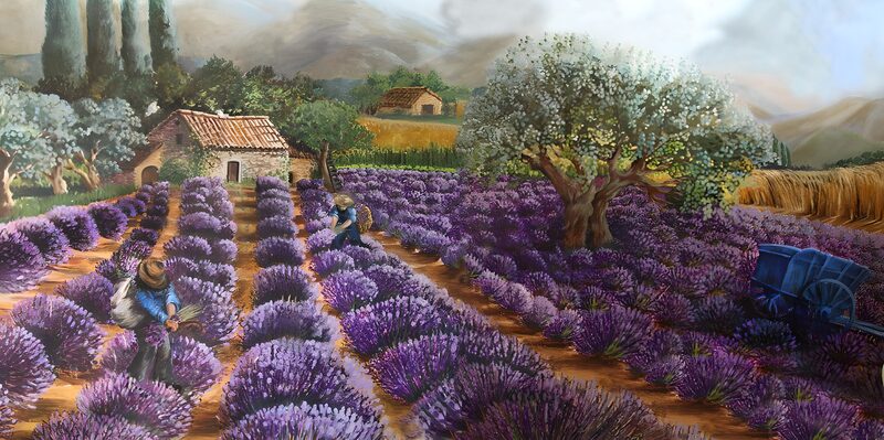 Lavendelfelder in der Provence