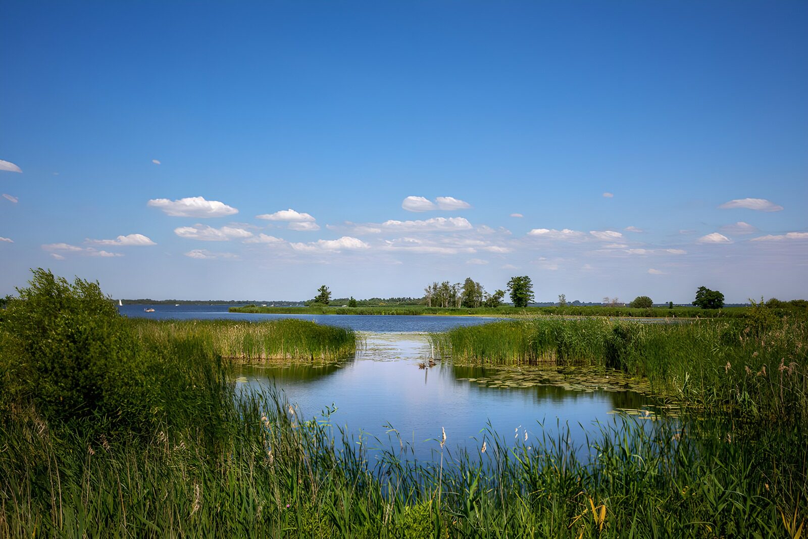 Ruhiger Wasserlauf im Grünen