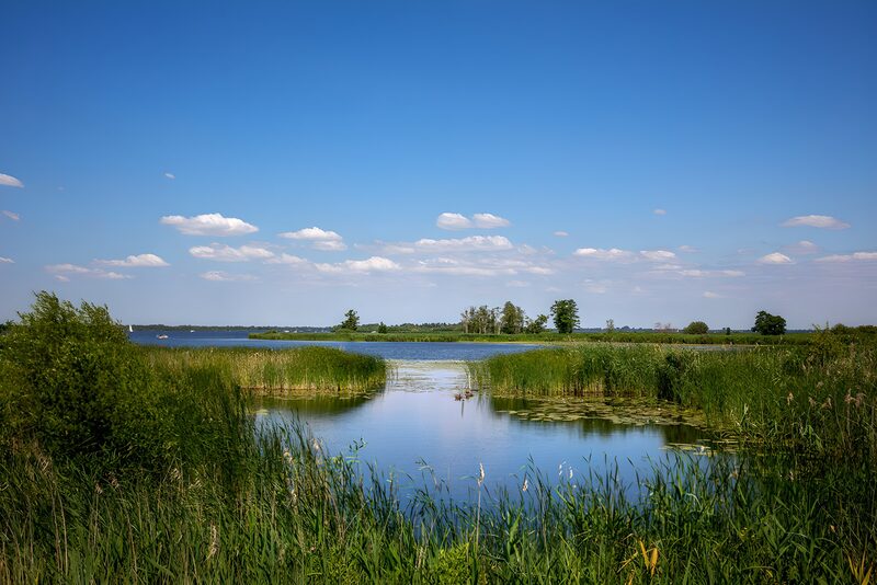 Ruhiger Wasserlauf im Grünen