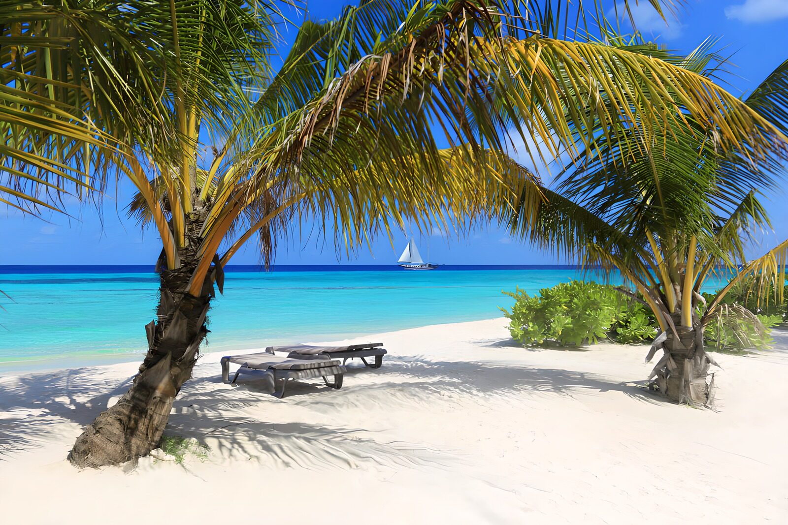 Traumstrand mit Palmen und Segelboot