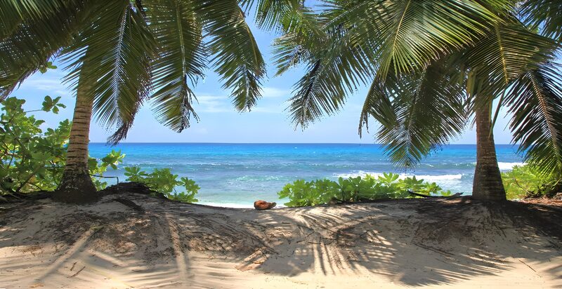 Tropischer Strandblick im Paradies