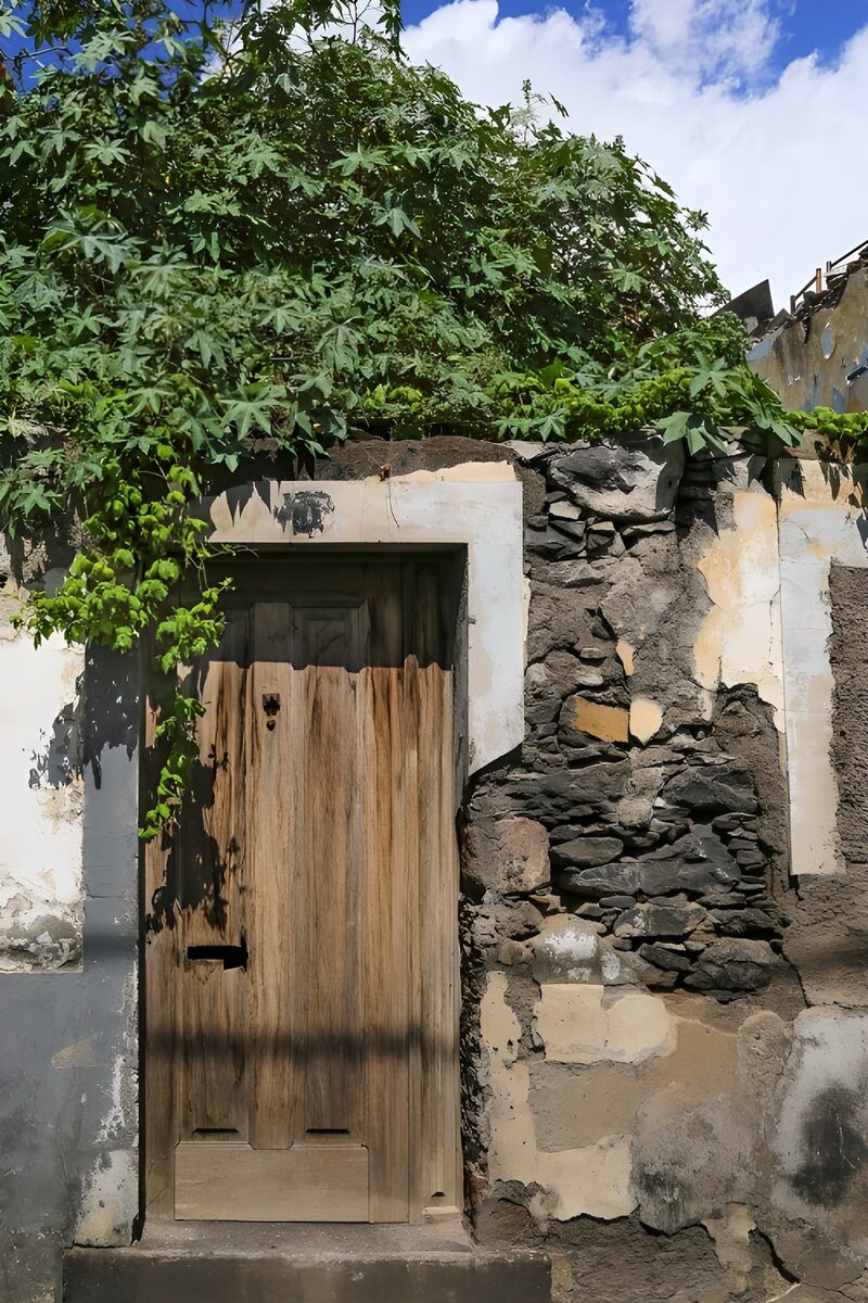 Alte Holztür mit Pflanzenbewuchs