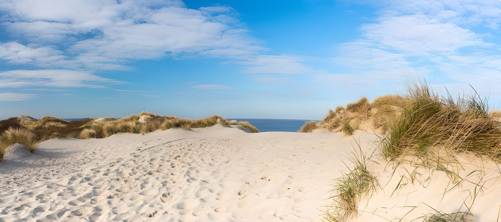 Sanddünen am Meer
