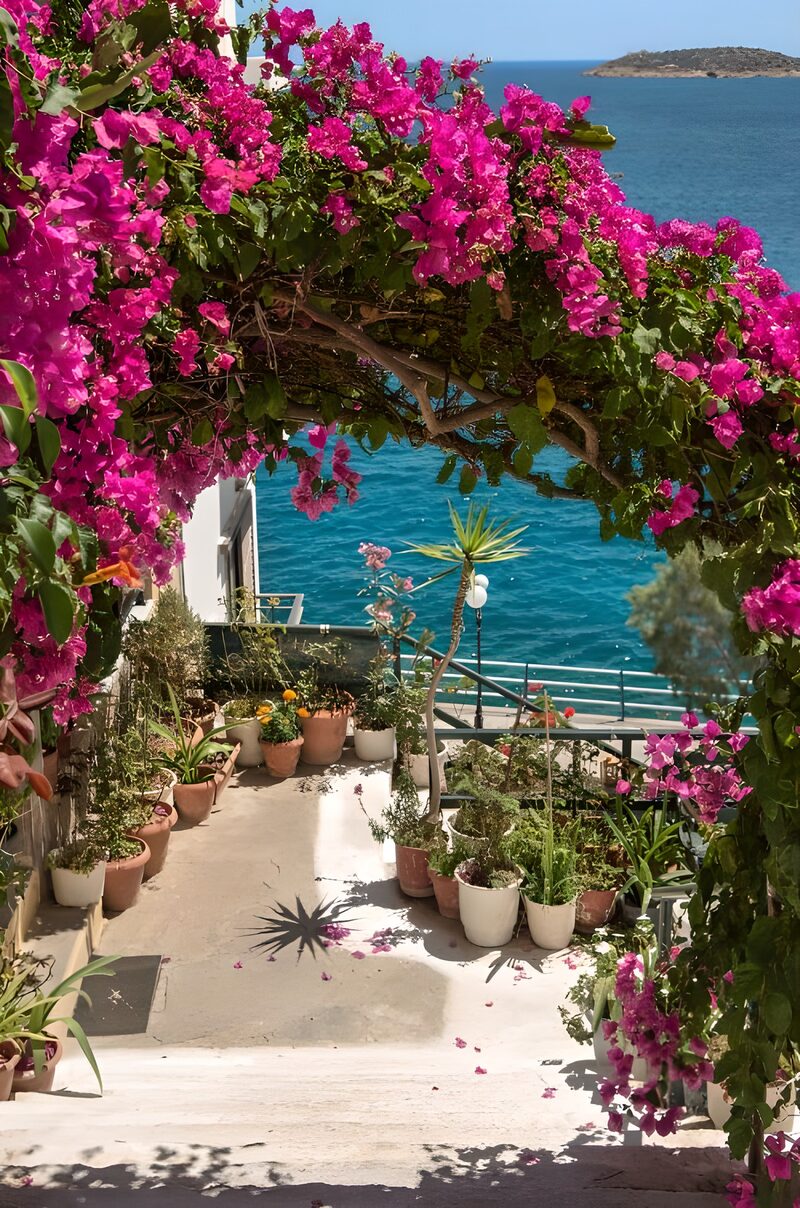 Blumenpracht am Meer