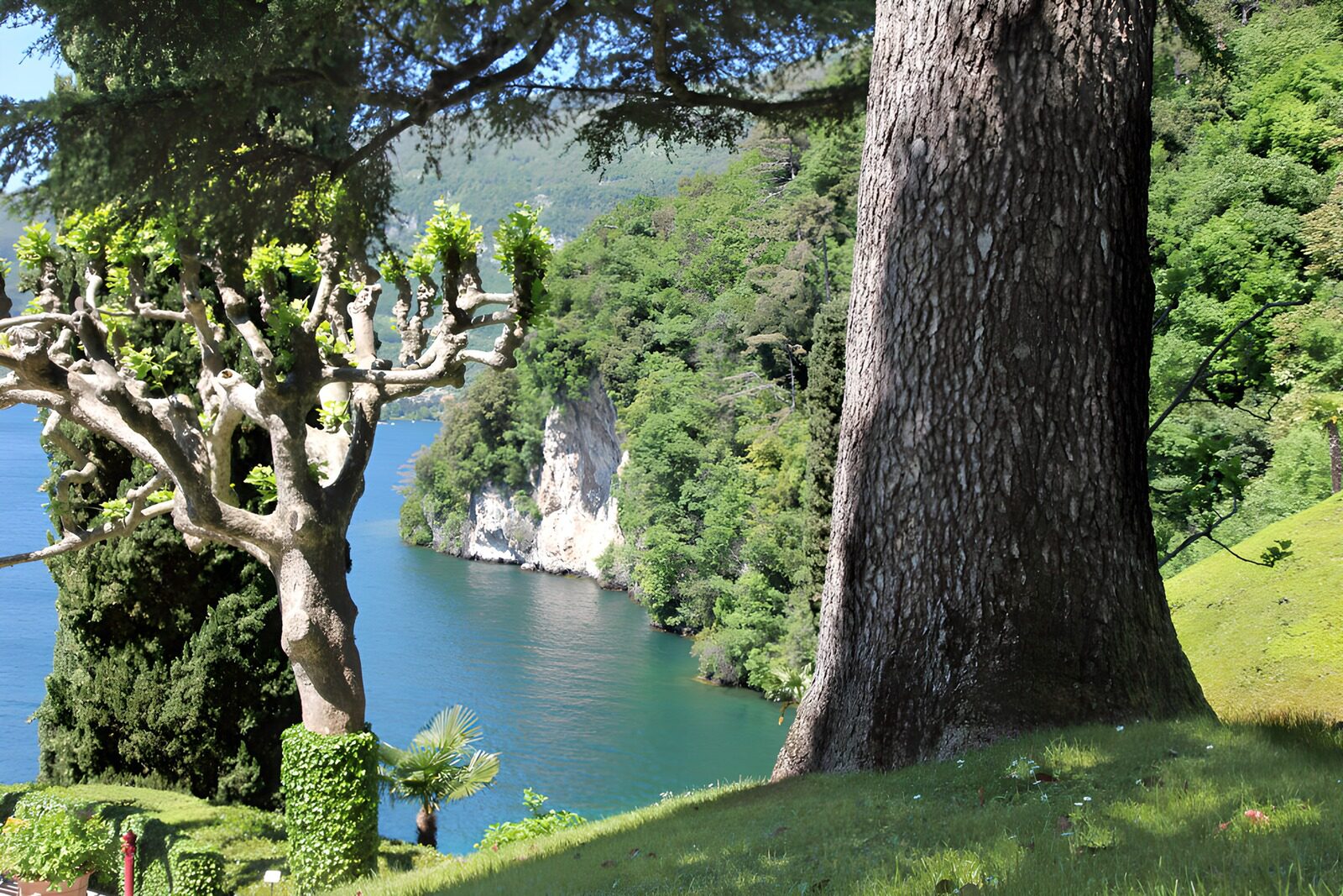 Ruhige Uferlandschaft am See