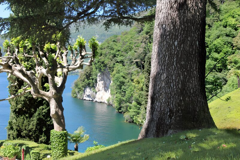 Ruhige Uferlandschaft am See