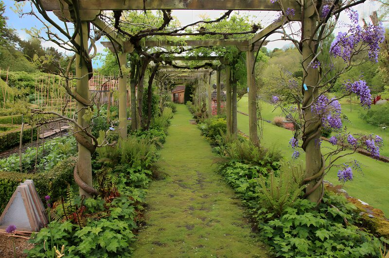 Zauberhafter Gartenweg im Frühling