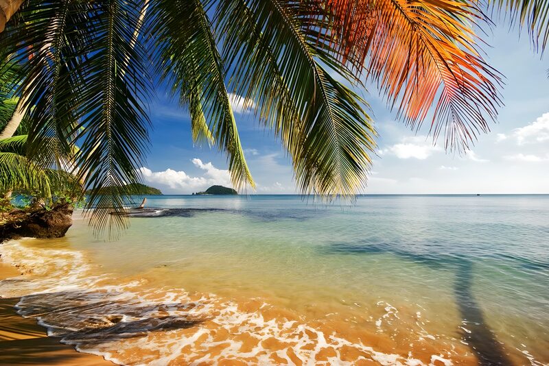Tropischer Strand mit Palmen