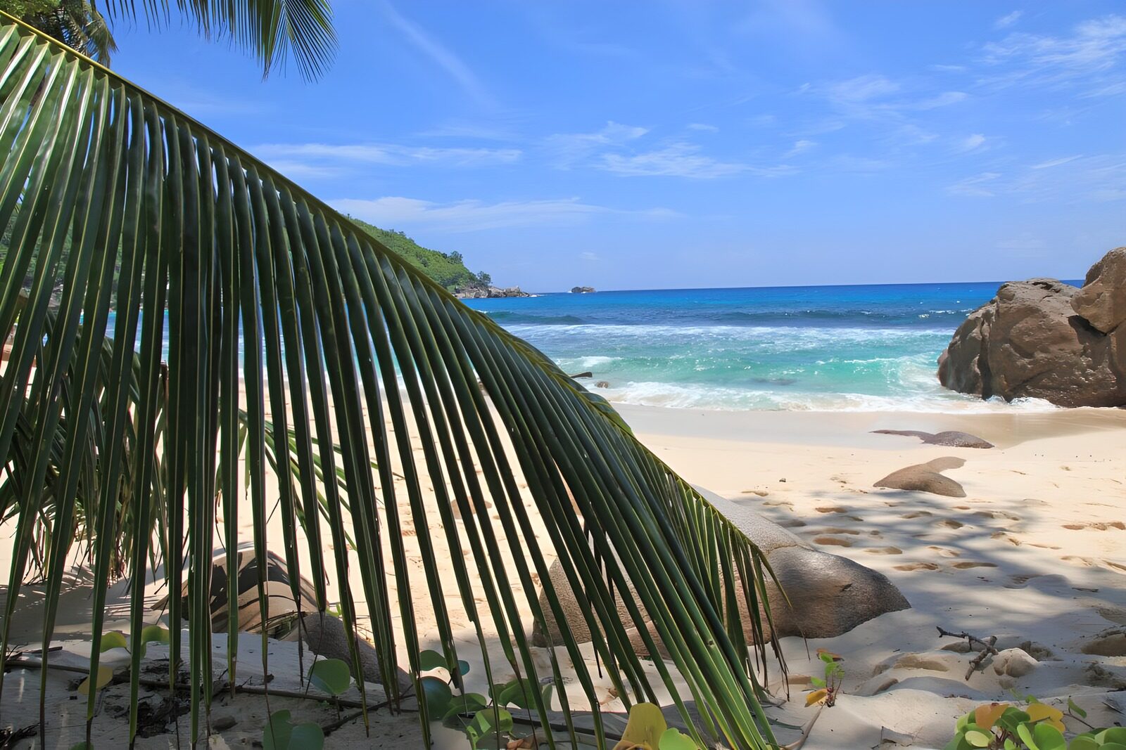 Traumstrand mit Palmen und klarem Wasser