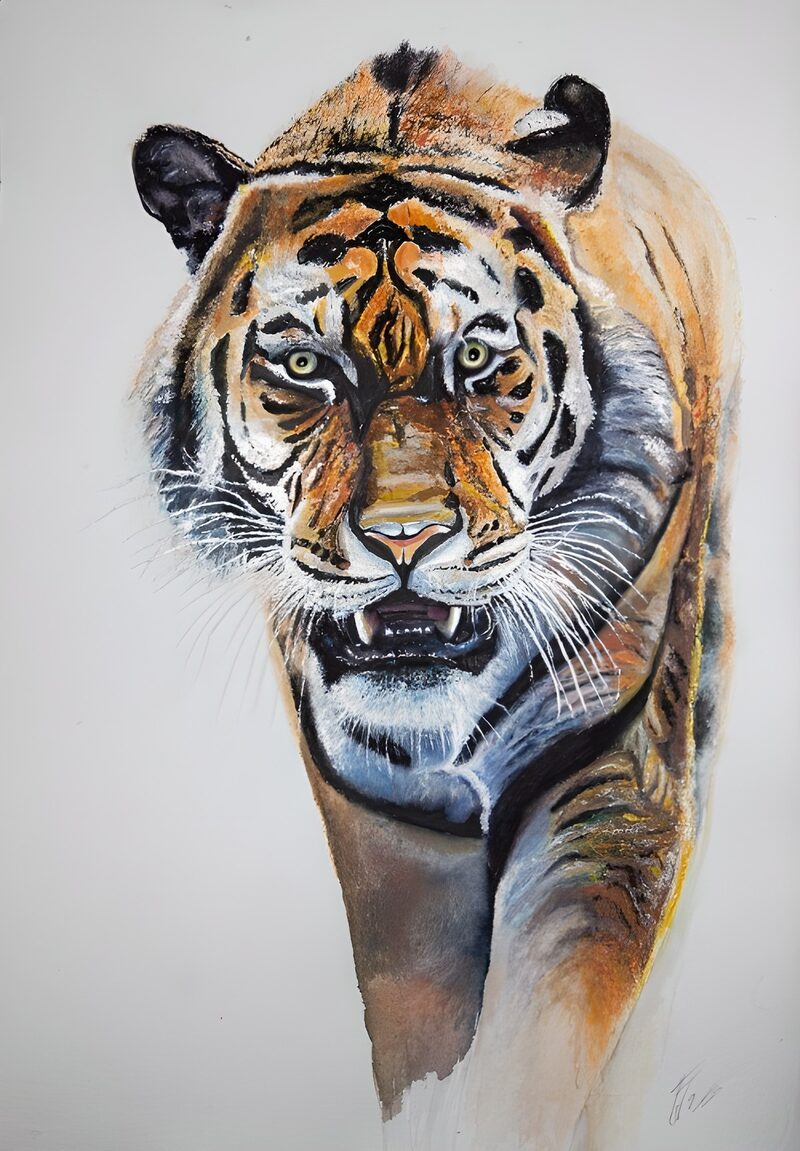 Majestätischer Tiger in der Wildnis