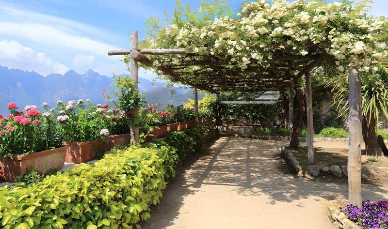 Blühender Garten mit Bergblick