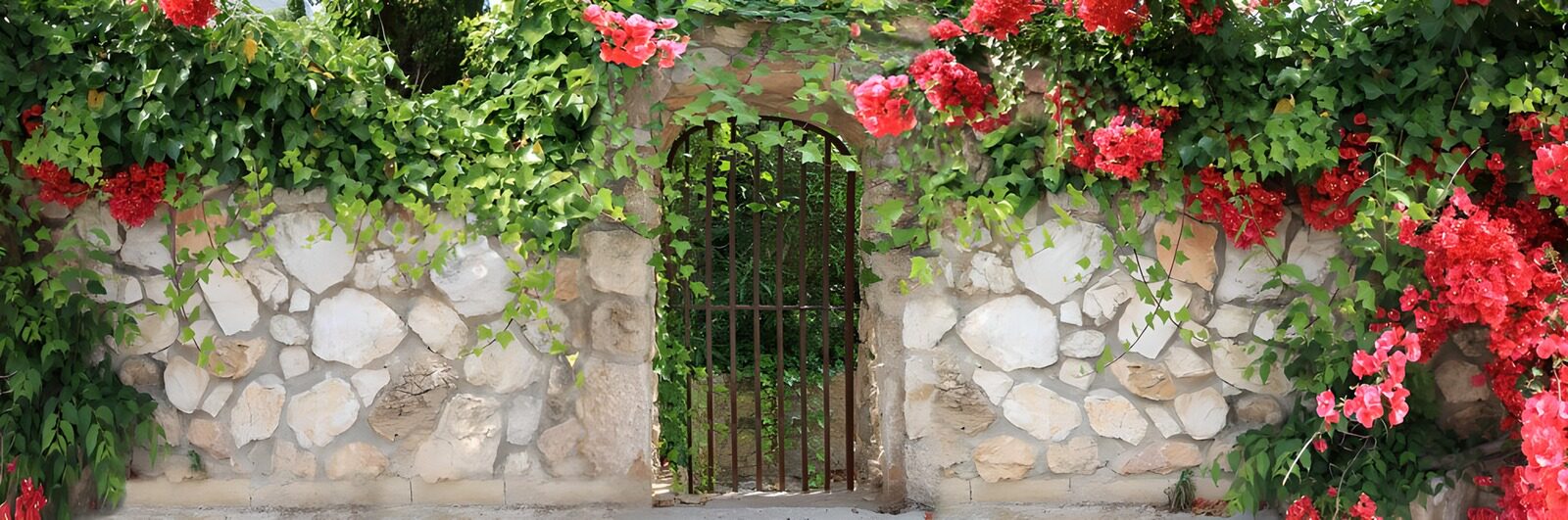 Blühende Mauer mit Eisenzaun