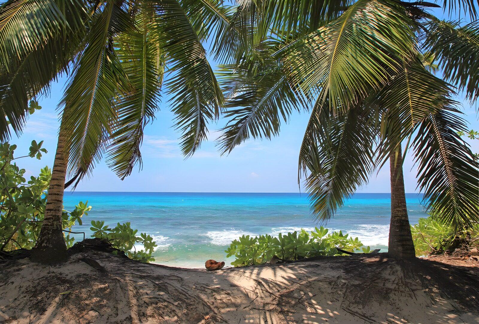 Tropisches Paradies am Meer