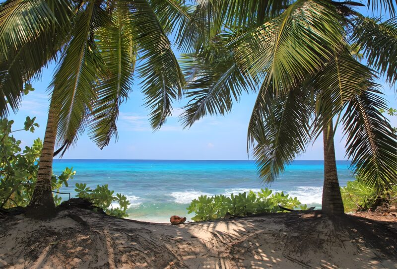 Tropisches Paradies am Meer