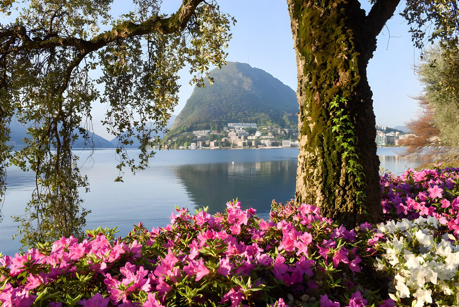 Blumenparadies am Lago di Lugano