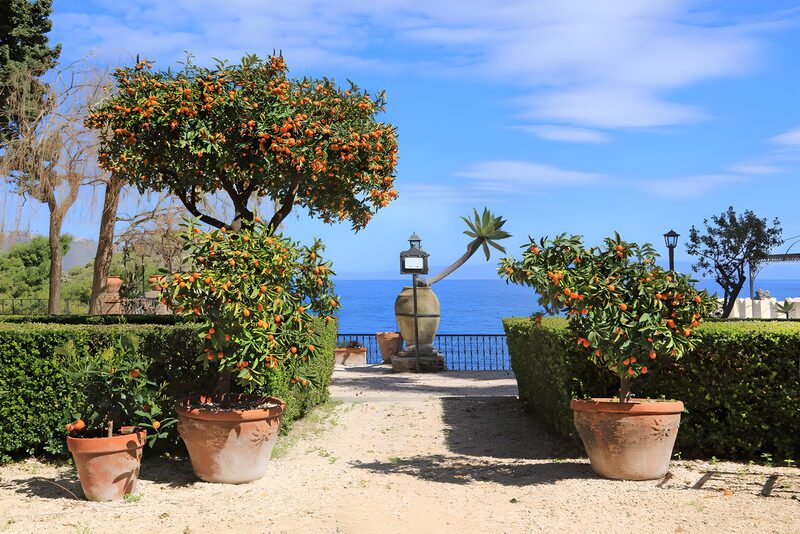 Mediterraner Garten mit Blick aufs Meer