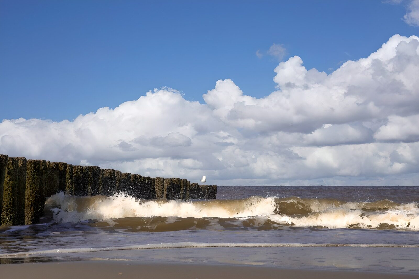 Wellenbrecher am Strand bei schönem Wetter