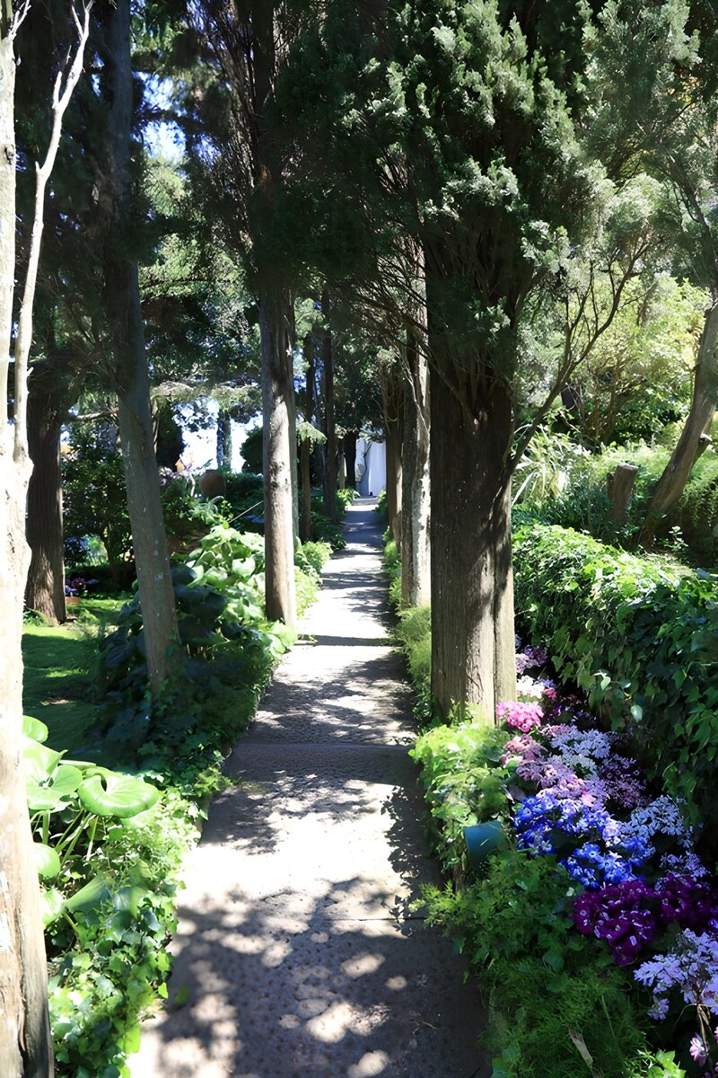 Friedlicher Gartenweg mit blühenden Blumen