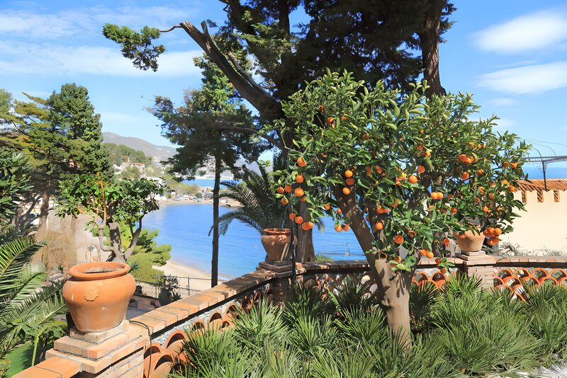 Orangenbaum mit Meerblick