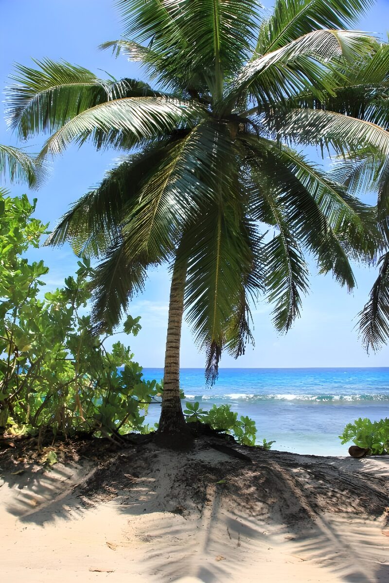 Strand mit Palmen und klarem Wasser