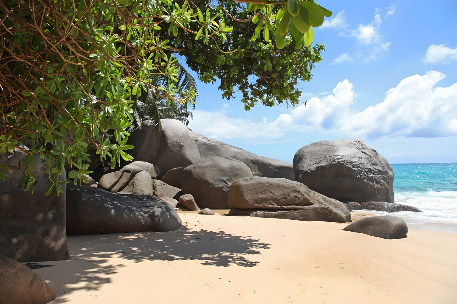 Traumhafter Strand mit Felsen und Palmen
