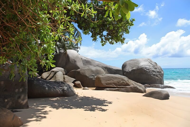 Traumhafter Strand mit Felsen und Palmen