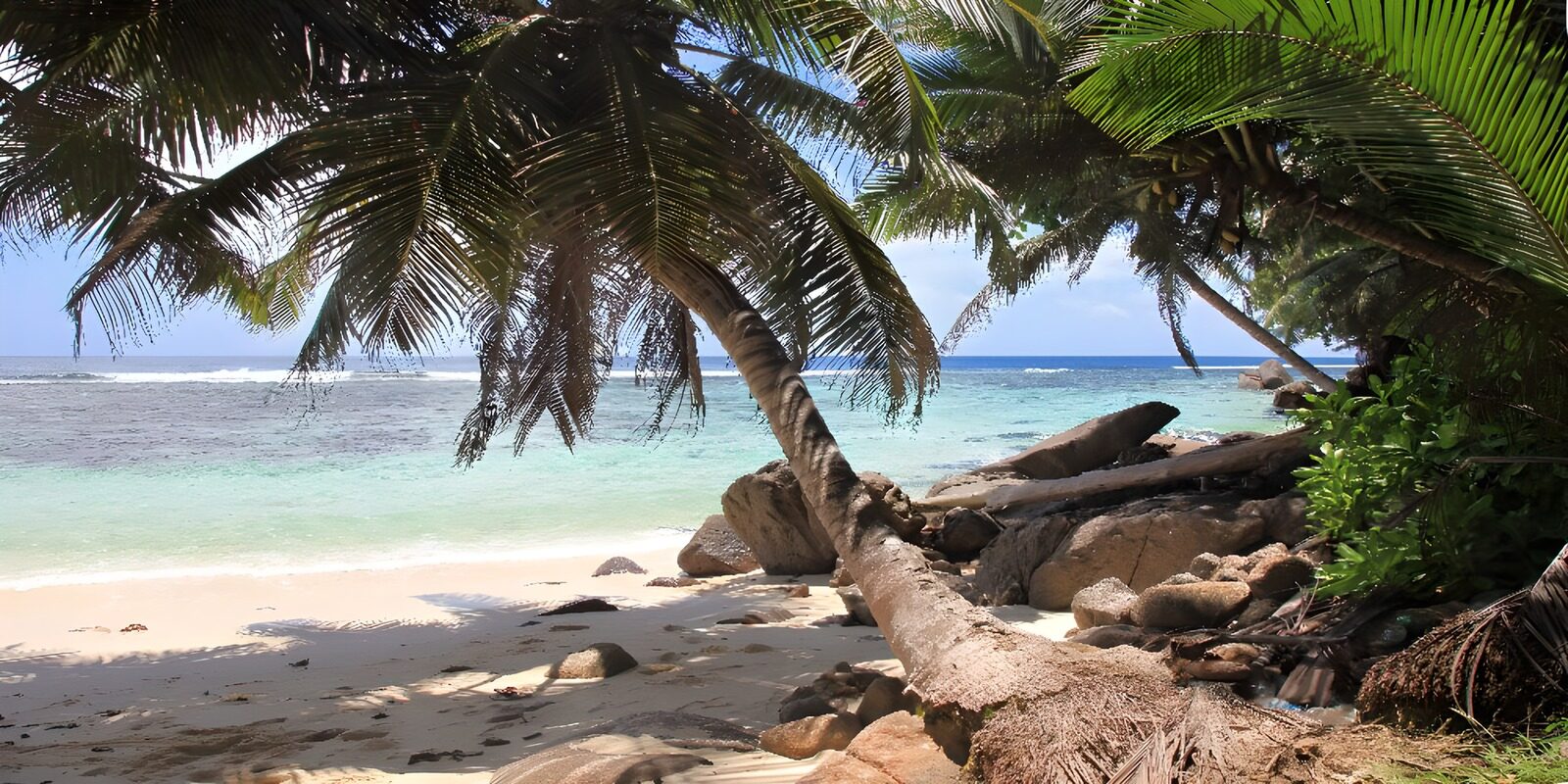 Traumstrand mit Palmen und kristallklarem Wasser