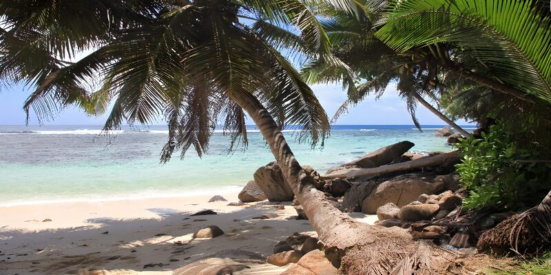 Traumstrand mit Palmen und kristallklarem Wasser