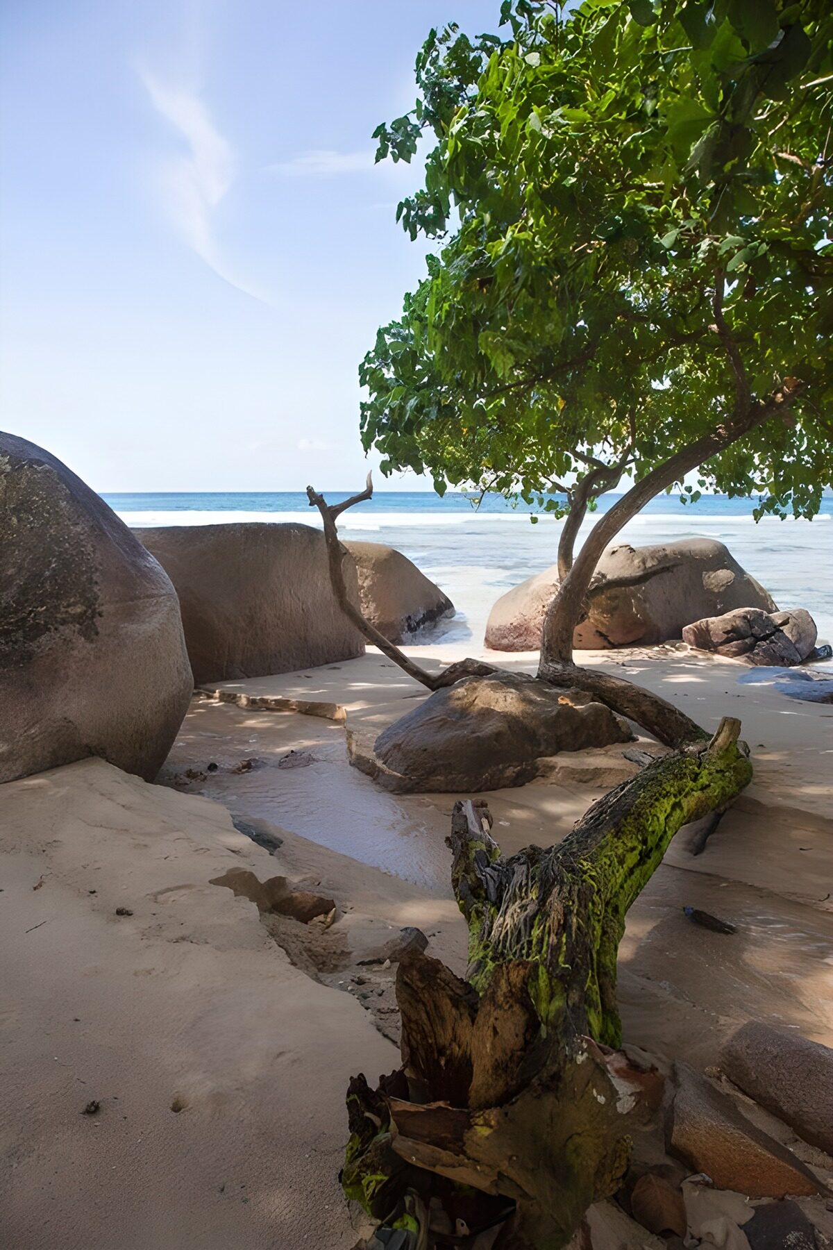 Ruhiger Strand mit Felsen und Baum