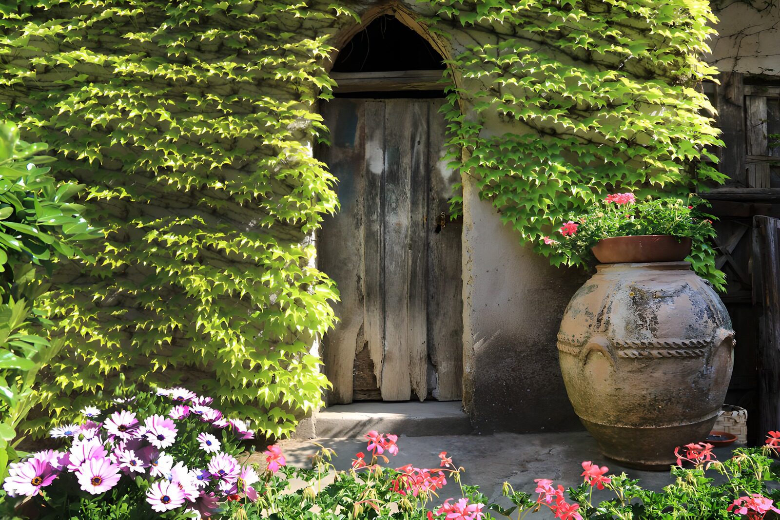 Tor und Blumen im Grünen