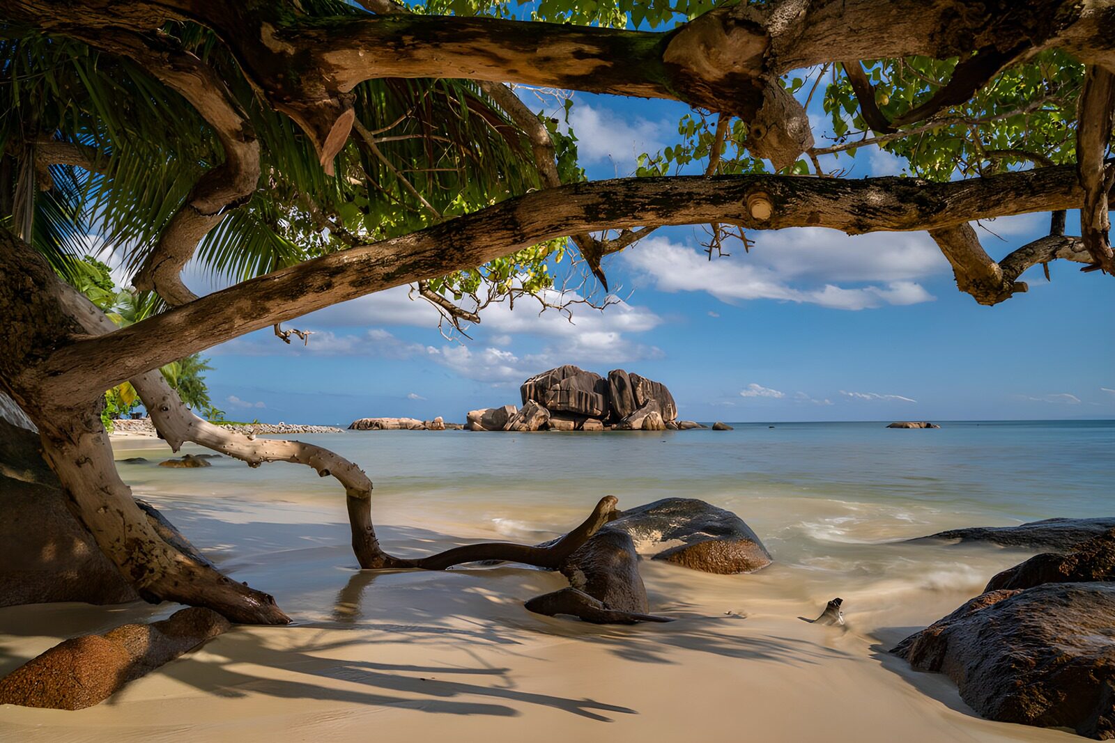 Tropischer Strand mit Felsen