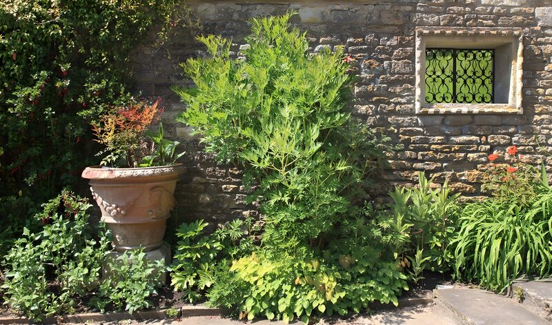 Grüner Garten mit antiker Steinmauer