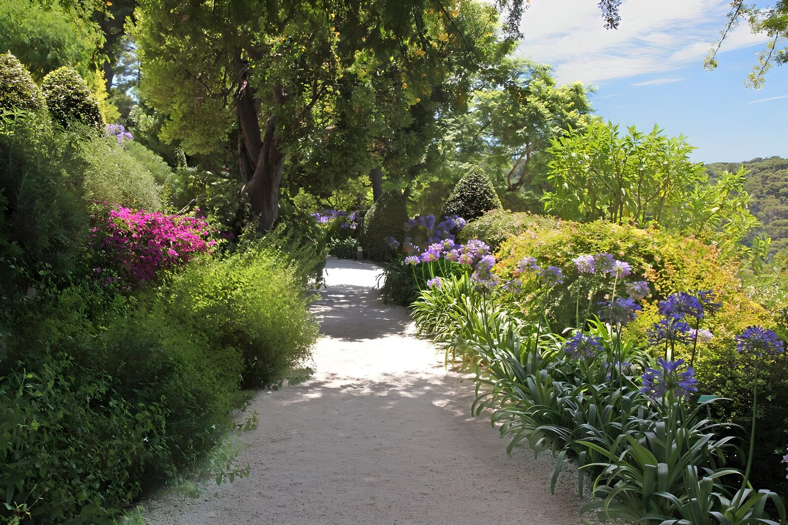 Blühender Gartenweg in voller Pracht