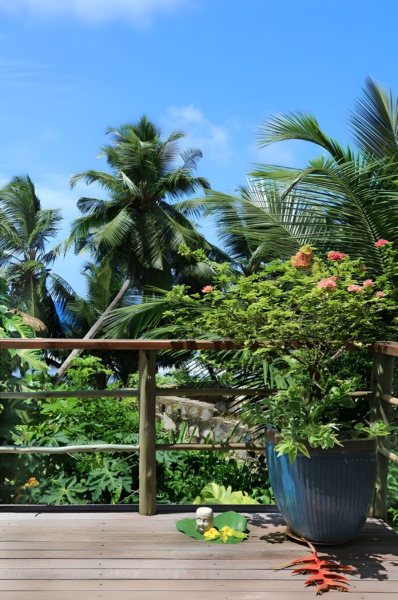 Tropisches Paradies mit Pflanzen und Ausblick